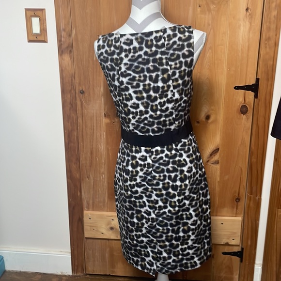 Ann Taylor leopard print dress size 6 - Picture 4 of 5